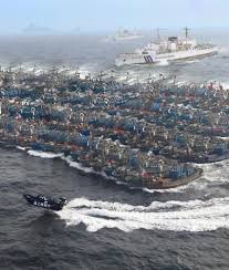 中国漁船のサンゴ密漁